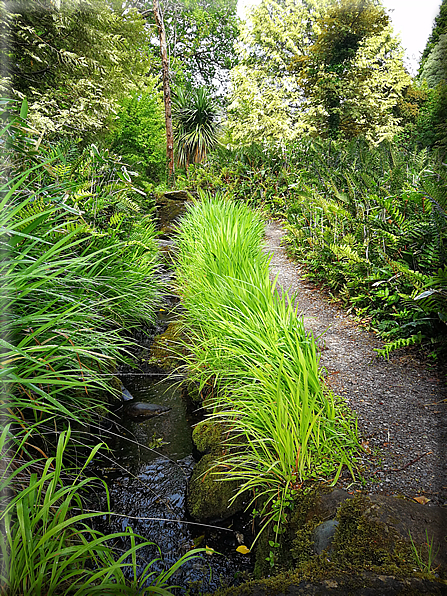 foto Parco di Killarney